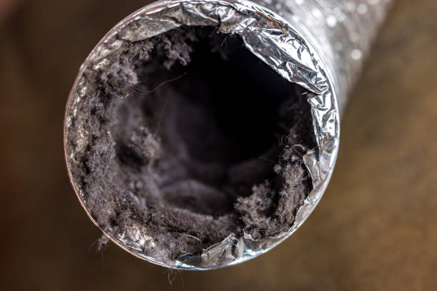 Best Home Air Vent Cleaning  in West End Cobb Town, AL